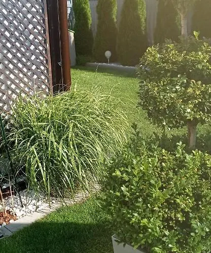 Holiday home Dom Dolores